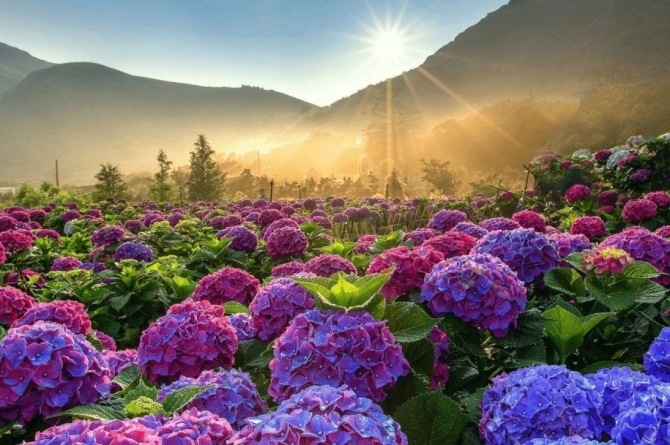 ĐÀ LẠT 3 NGÀY 2 ĐÊM